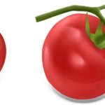 paradajka rajcina